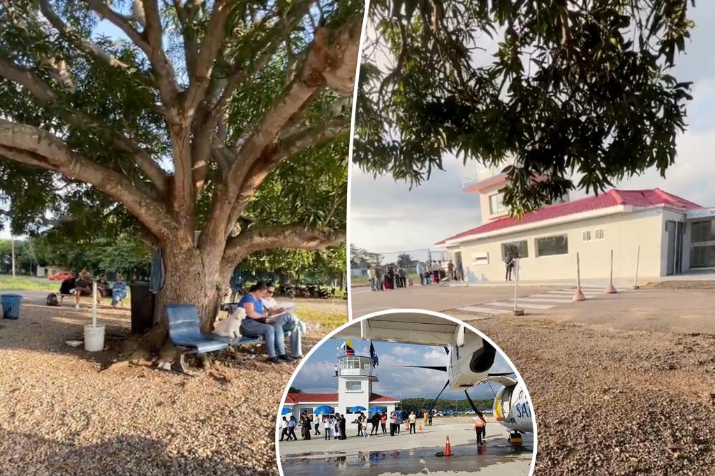 One of the smallest airports in the world has a waiting area under a mango tree